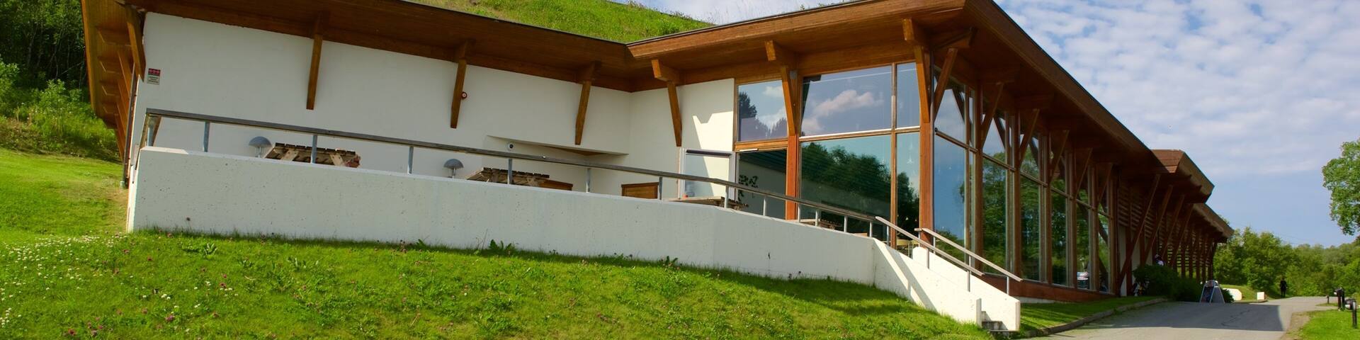 Trondenes Historical Centre which includes a hotel