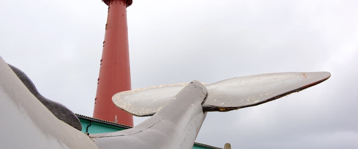 Whale Center featuring a lighthouse