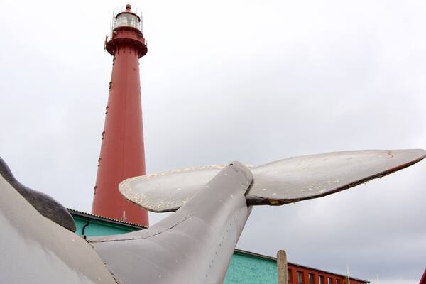 Whale Center showing a lighthouse