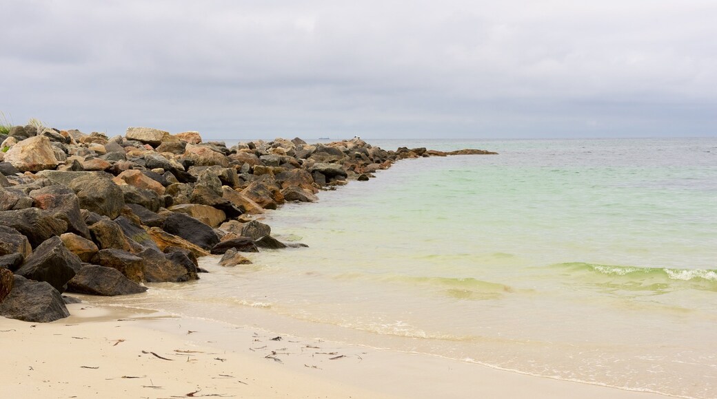 ブライキ ビーチ どの含み ビーチ