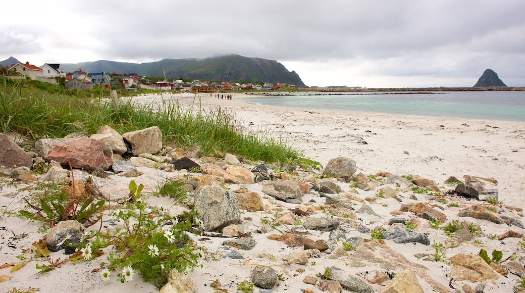 ブライキ ビーチ フィーチャー ビーチ と 海岸沿いの町