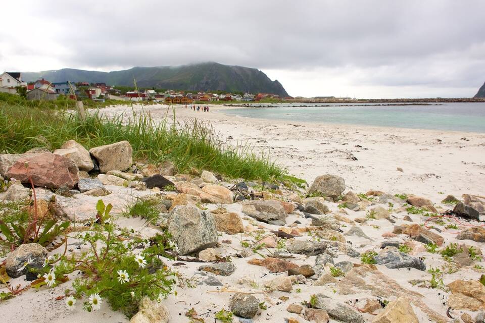 A beach with scattered rocks and sparse vegetation, a distant town, and mountains in the background.