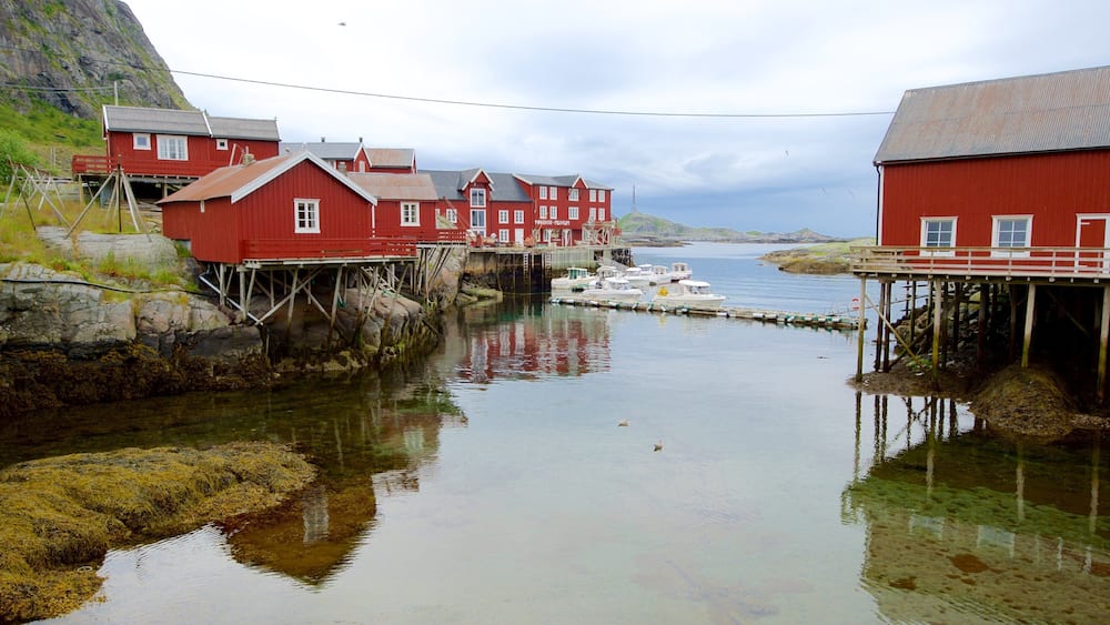 Stockfish Museum which includes a small town or village and a bay or harbor