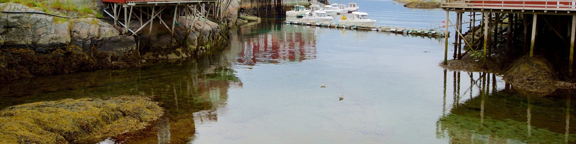 Stockfish Museum which includes a small town or village and a bay or harbor