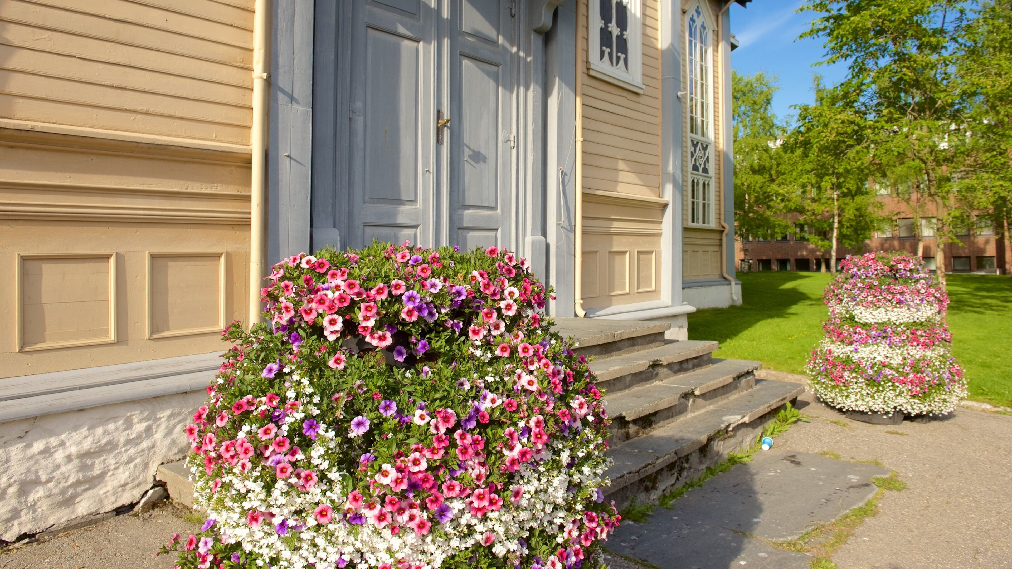 Tromsø Domkirke og byder på blomster og en kirke eller en katedral