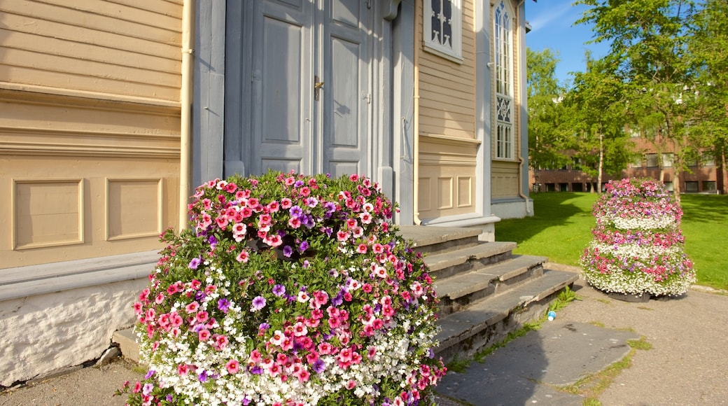 Tromsø Domkirke og byder på blomster og en kirke eller en katedral