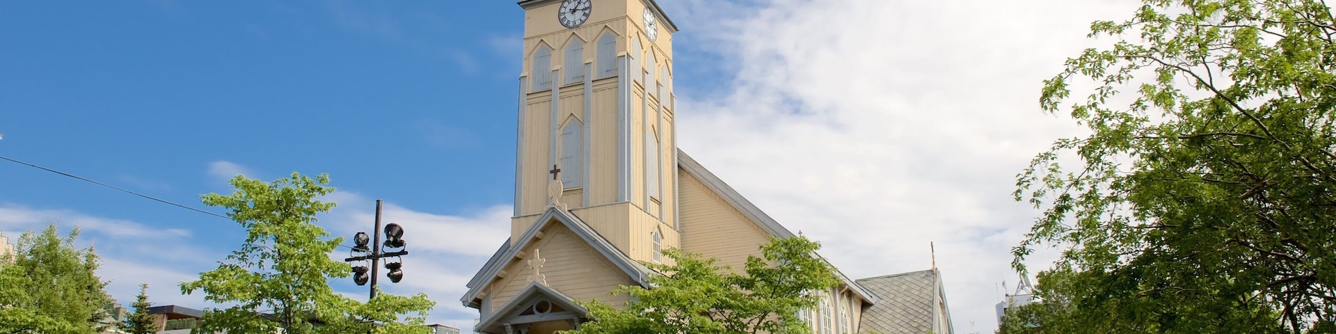 Tromso Cathedral showing a church or cathedral