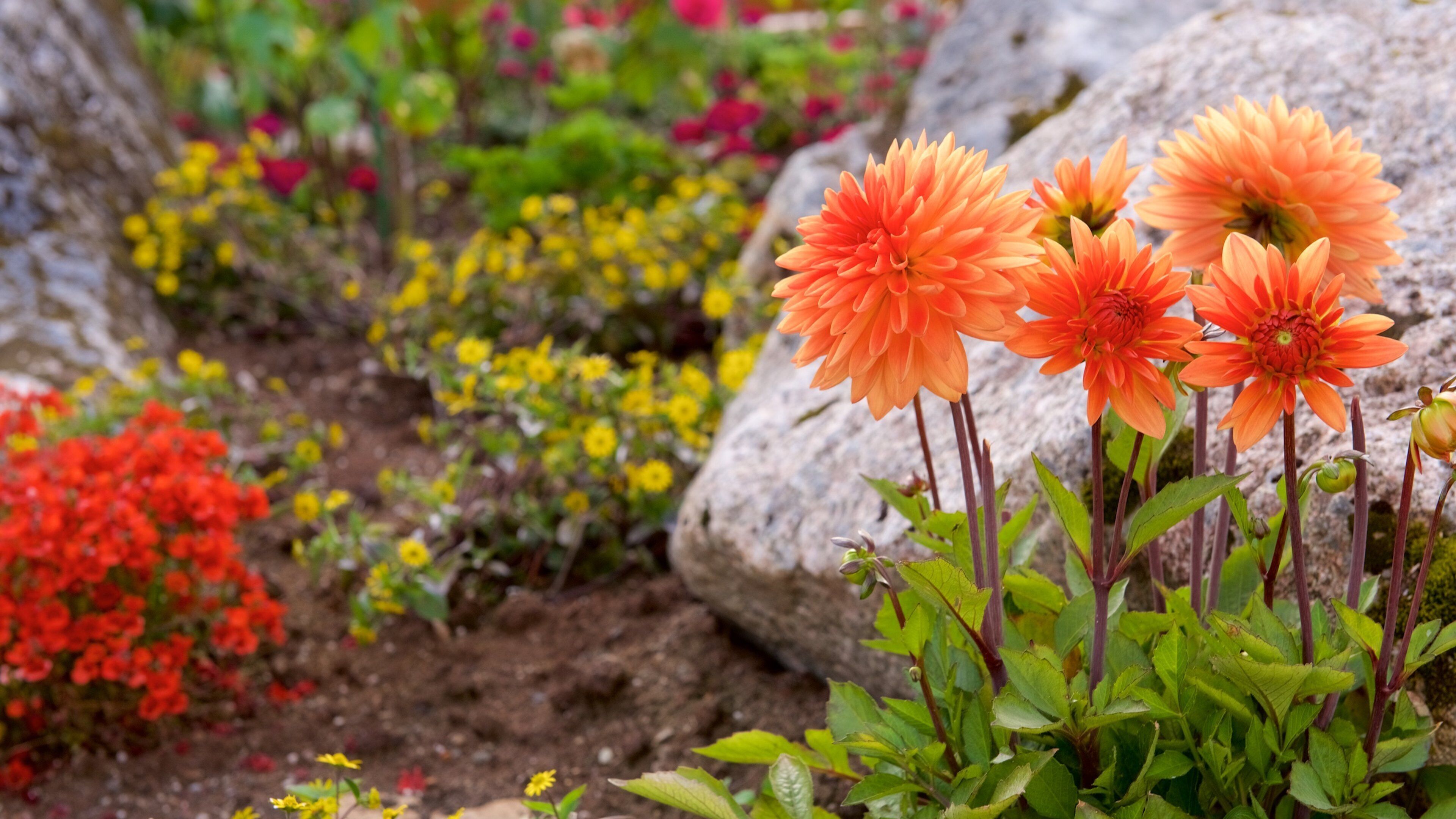 Tromso University Museum showing a park