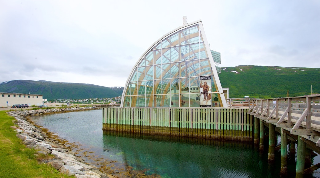 Polaria showing modern architecture