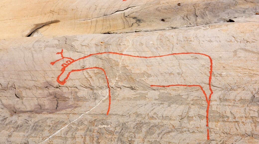 Alta Rock Carvings featuring outdoor art