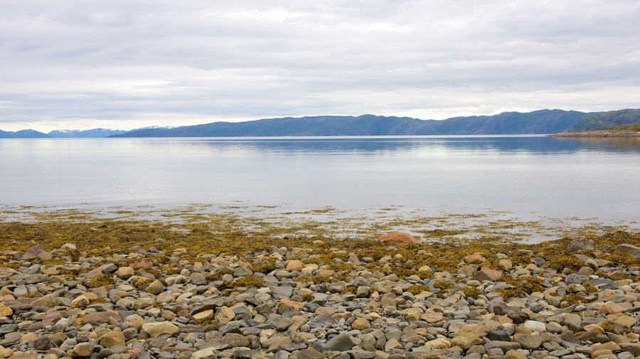 Alta Rock Carvings showing a lake or waterhole and landscape views