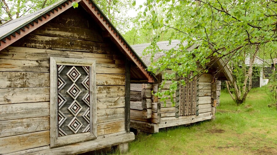 Juhl\'s Silver Gallery showing a house