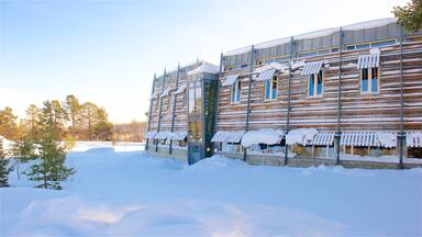 Sampi Park som viser snø