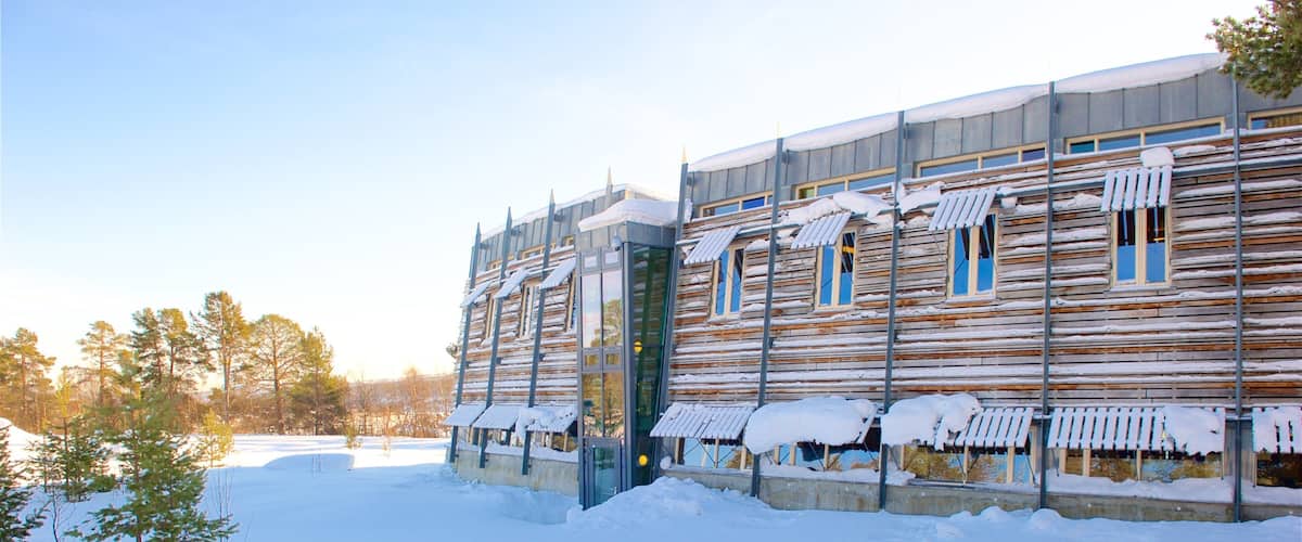 A log cabin with snow-covered eaves and windows, surrounded by a snowy landscape and trees.