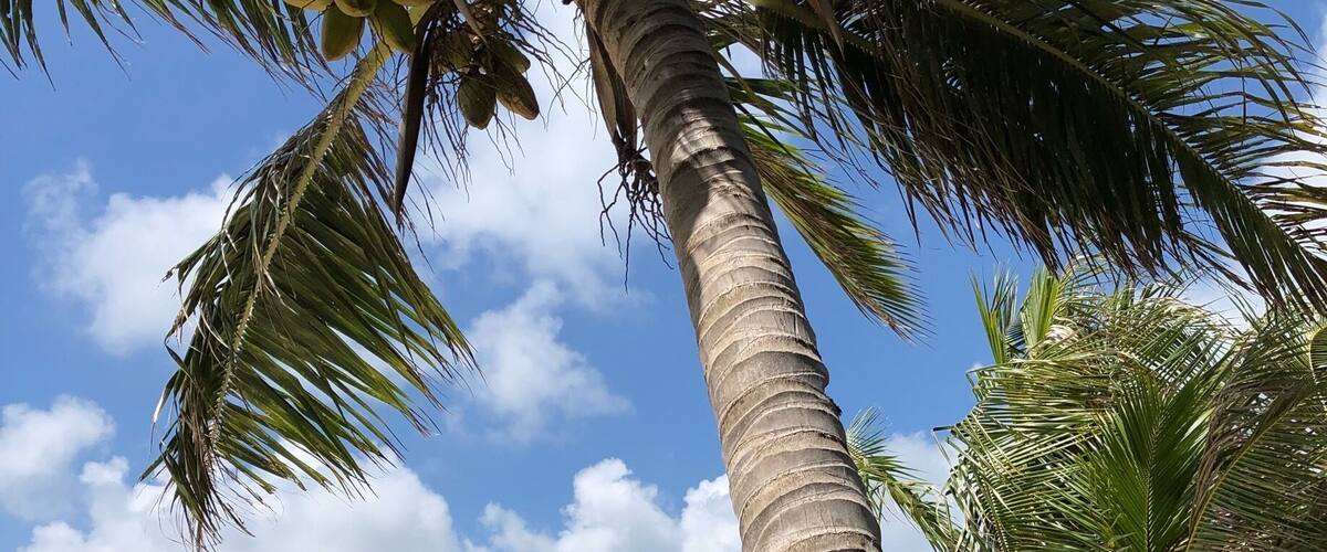 Managaha Island, Saipan, Marianas Islands
#beachtips