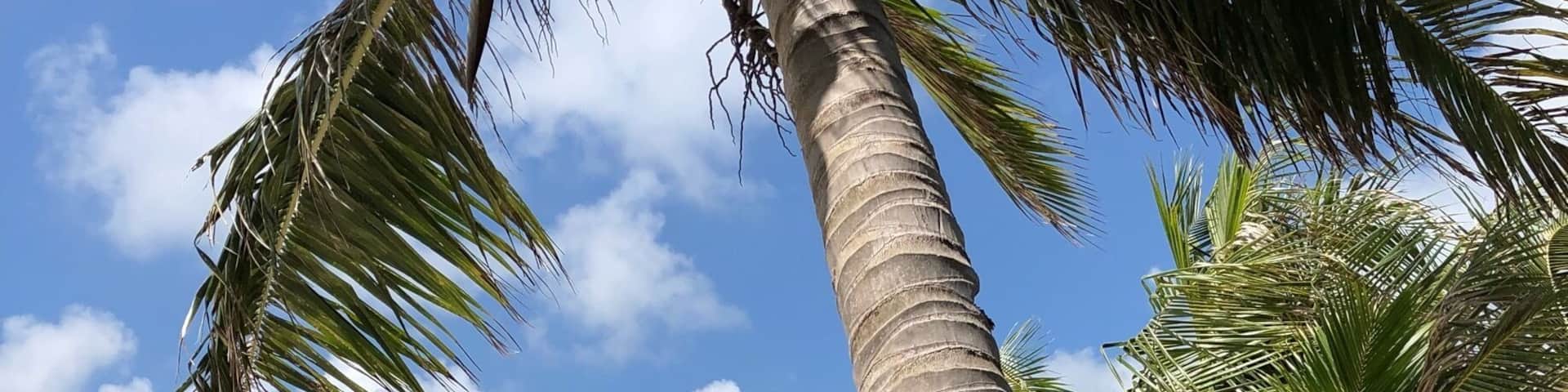 Managaha Island, Saipan, Marianas Islands
#beachtips