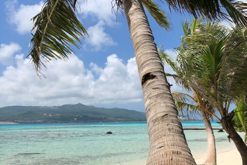 A beach with clear turquoise water, palm trees, and a distant mountain range.