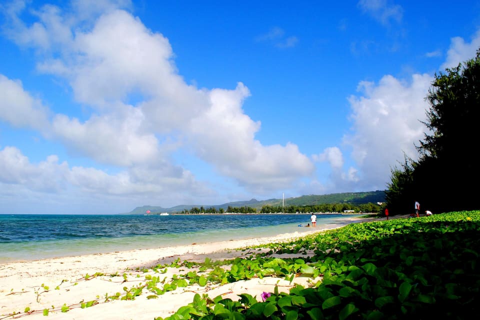 A beach with clear blue water, white sand, and green vegetation.