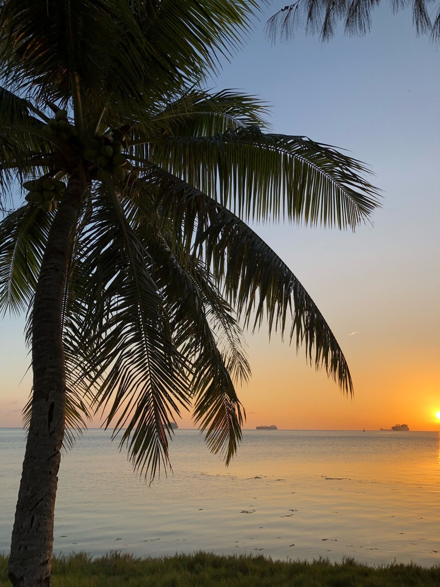 Sunset on Saipan, Marianas Islands
#beachtips