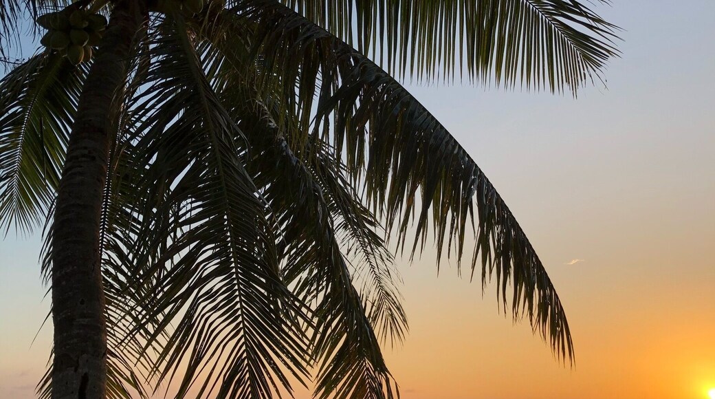 Sunset on Saipan, Marianas Islands
#beachtips
