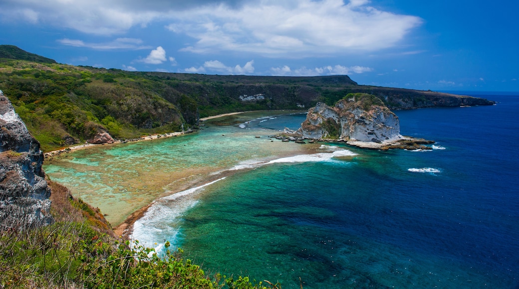 Isla de los Pájaros
