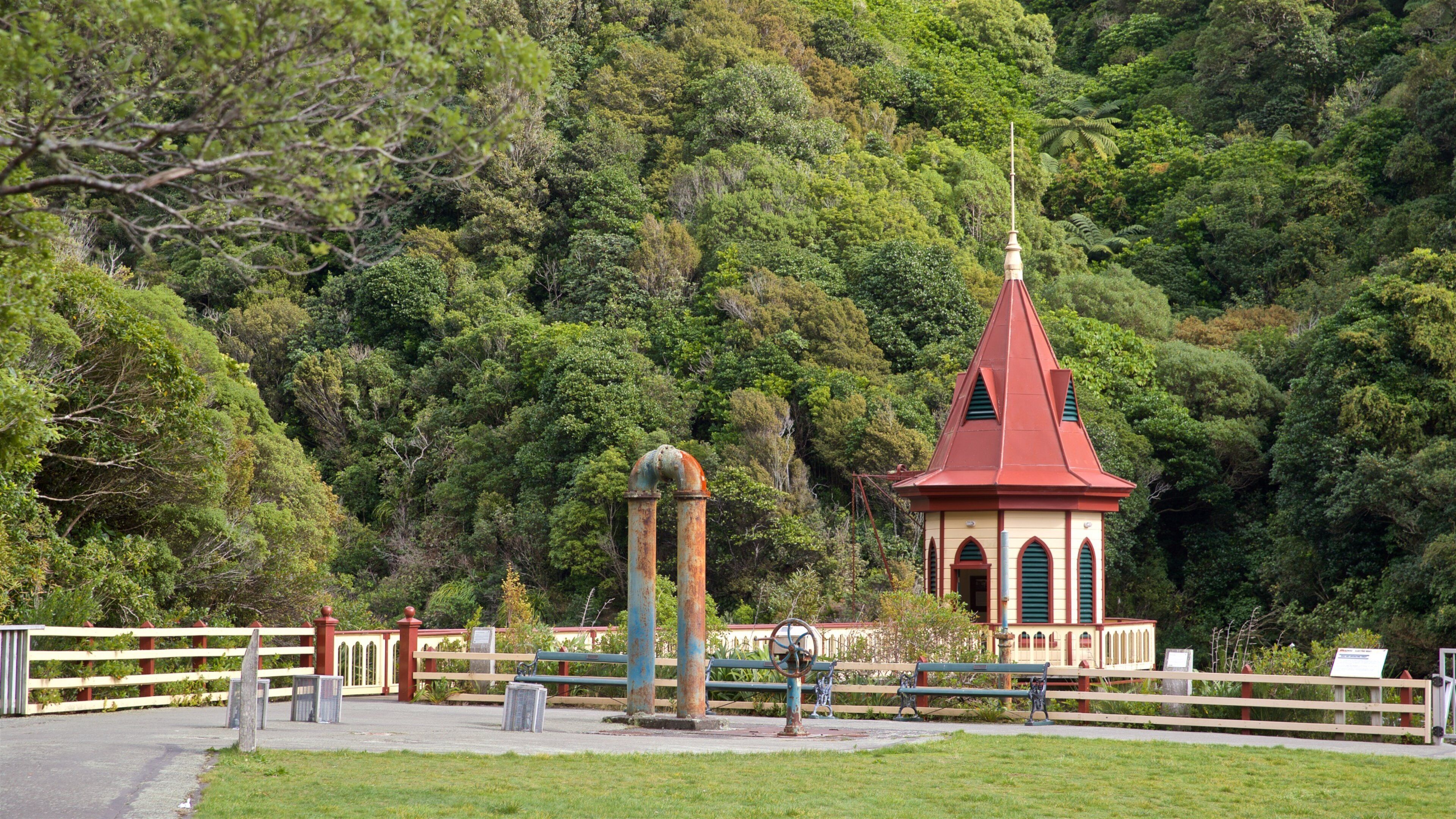 Zealandia featuring a garden