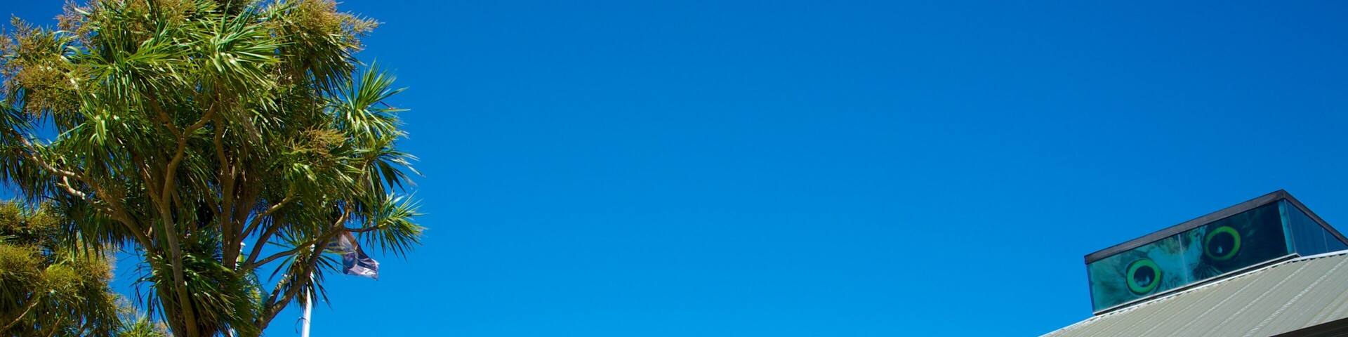 Wellington Zoo showing zoo animals and signage