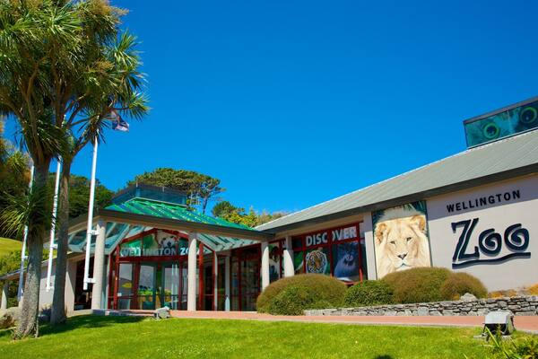 Wellington Zoo showing zoo animals and signage