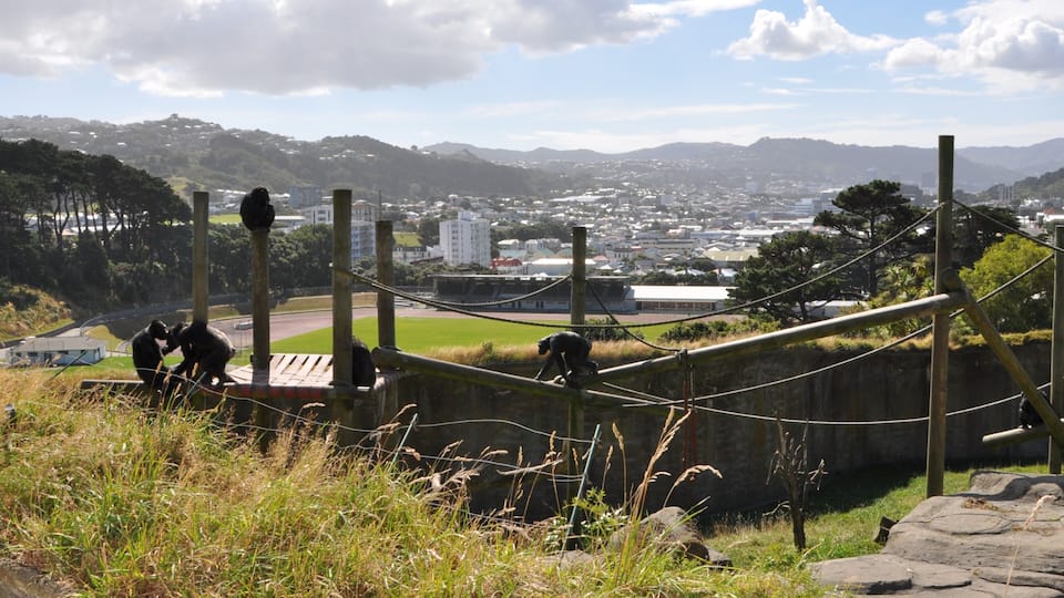 Zoológico de Wellington caracterizando animais de zoológico