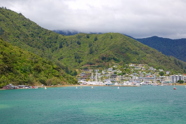Picton Harbour featuring forest scenes, mountains and a coastal town