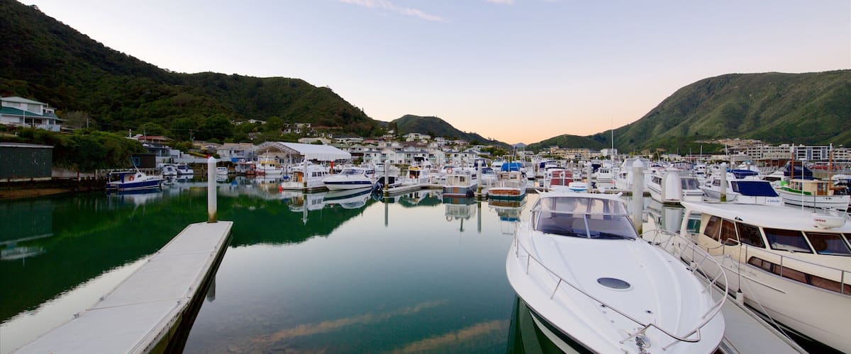 Picton Harbour som visar en marina, en solnedgång och en hamn eller havsbukt