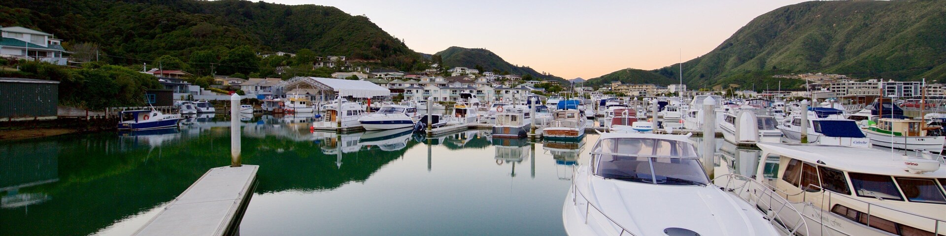 Picton Harbour welches beinhaltet Bucht oder Hafen, Marina und Sonnenuntergang