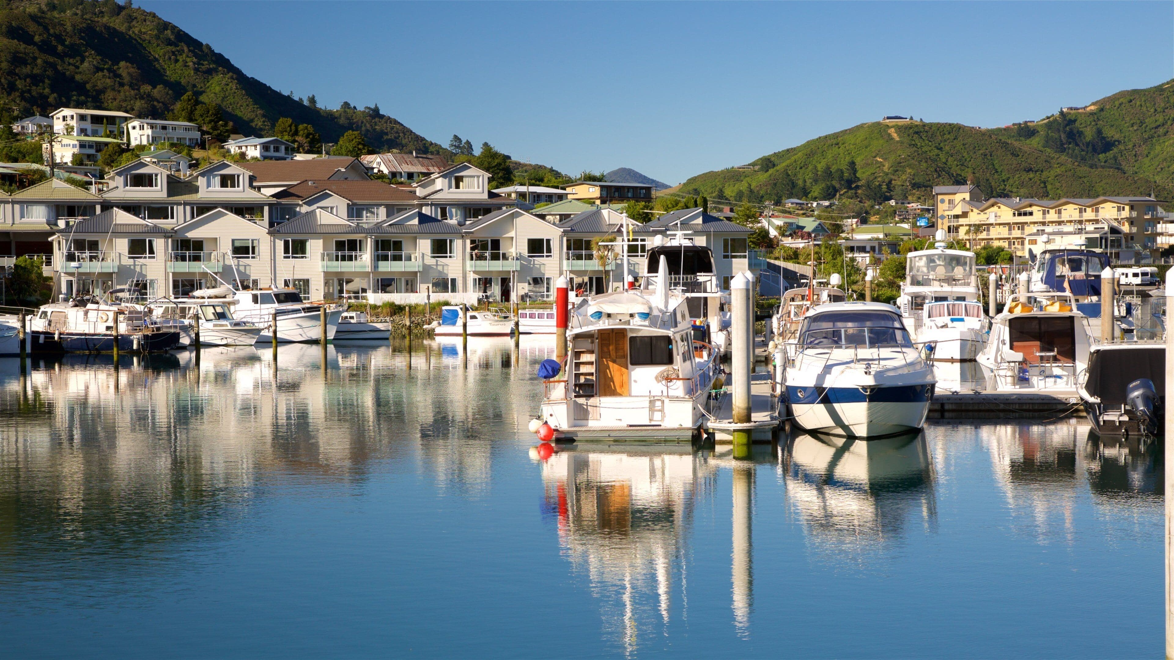 A marina with boats docked, surrounded by residential buildings and hills.