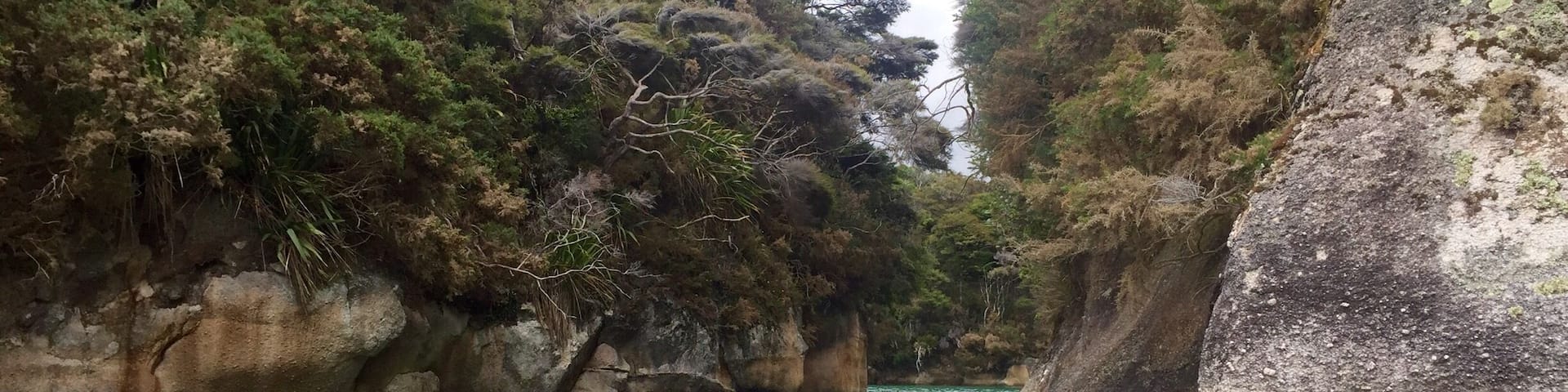 Kayaking in Able Tasman.