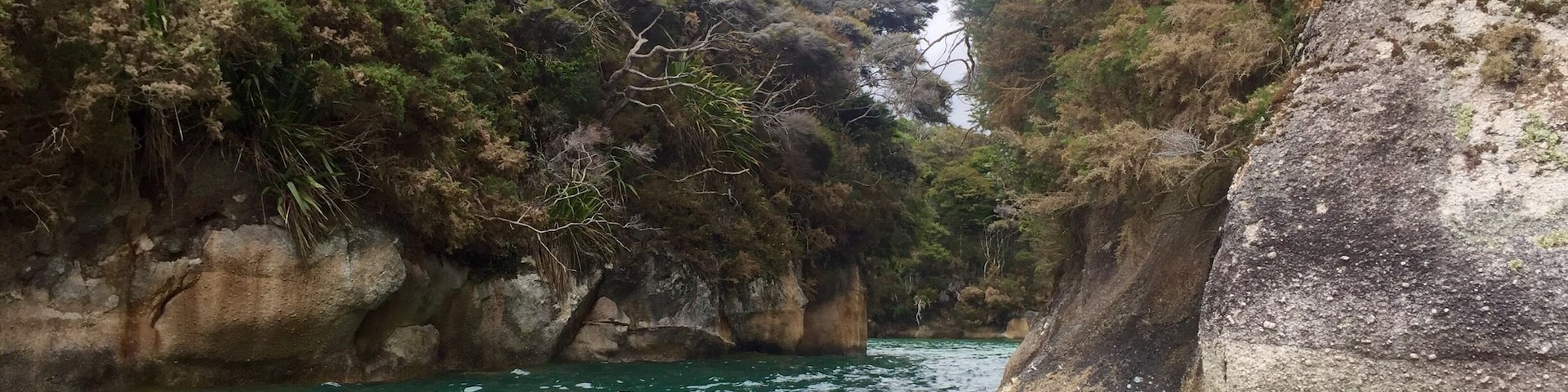 Kayaking in Able Tasman.