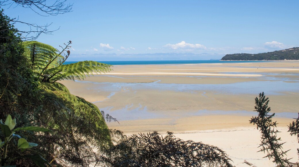 Abel Tasman National Park in New Zealand has beautiful coastline and tons of activities from hiking to water sports. If you're not that into activities, you can hop on a water taxi from Kaiteriteri and spend all day on a secluded beach. The park gets busy during summer months, but the weather is also at it's best!