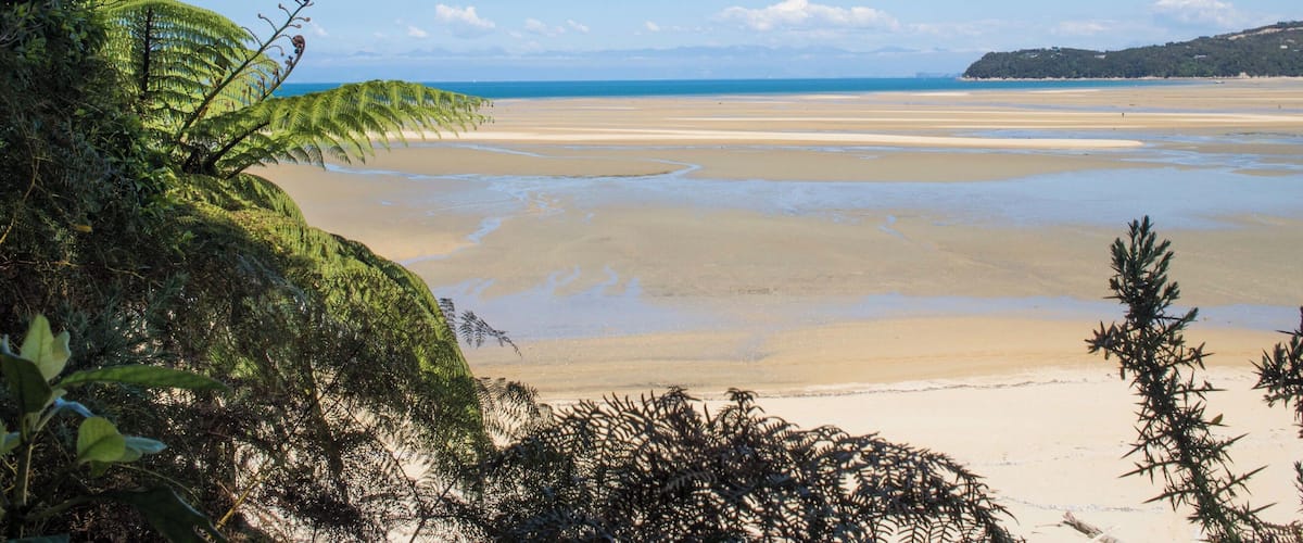 Abel Tasman National Park in New Zealand  has beautiful coastline and tons of activities from hiking to water sports. If you're not that into activities, you can hop on a water taxi from Kaiteriteri and spend all day on a secluded beach. The park gets busy during summer months, but the weather is also at it's best!