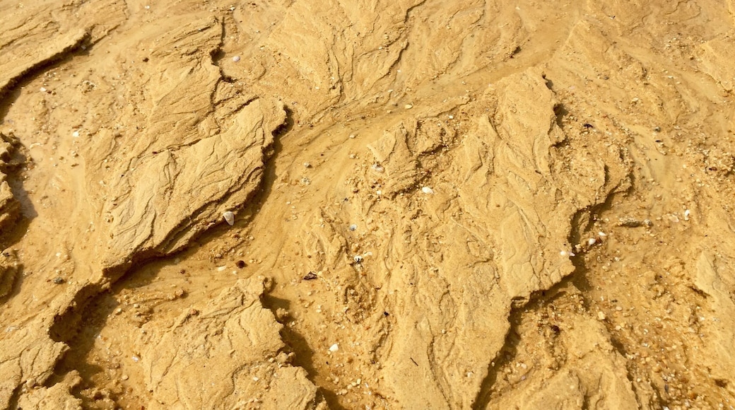 The beautiful gold beaches of Able Tasman. Gorgeous!!! You need to take a water taxi into the park and from there, there are numerous activities from hiking, kayaking, canyoning... And once in the park you must camp or I stayed at aqua backpackers - a hostel on a boat - which was very awesome.