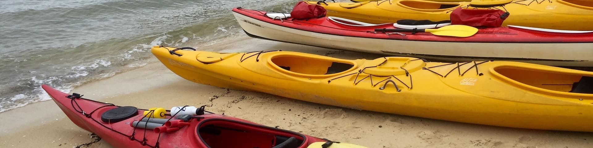 A beach with several yellow and red kayaks lined up on the sand, a blue boat with people on it, and a forested hill in the background.