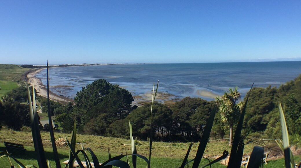 You can drive to Farewell Spit but you can only gain access 4km. If you want to go further down the 35km spit, you must go with a tour.