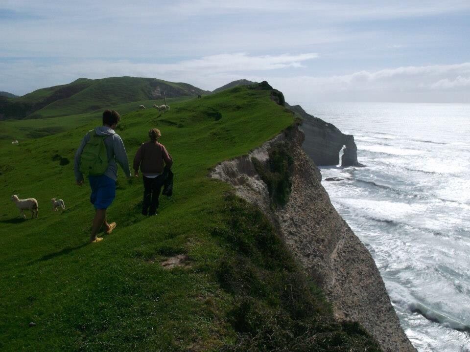 Farewell spit is the northest point on new zealand's south island. All along your #roadtrip to this place you can see beautiful beaches. When you get to the lookout you are sharing the place with cows and sheeps. If you follow the coast for 1 or 2 km you will find a secret place with a magnificient and huge beach, caves and sealions. The place is so deep that you will probably be the first to visit since I did last year.  #hiking