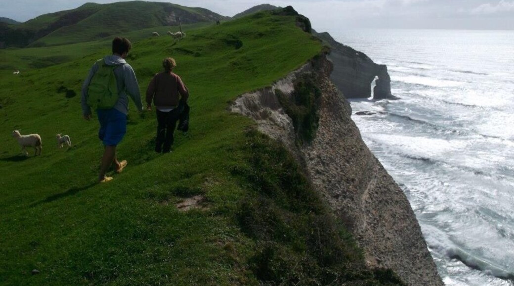 Farewell spit is the northest point on new zealand's south island. All along your #roadtrip to this place you can see beautiful beaches. When you get to the lookout you are sharing the place with cows and sheeps. If you follow the coast for 1 or 2 km you will find a secret place with a magnificient and huge beach, caves and sealions. The place is so deep that you will probably be the first to visit since I did last year. #hiking