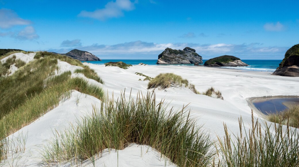 Spiaggia di Wharariki