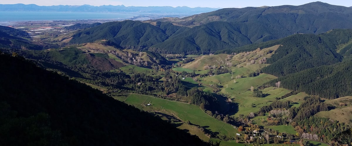 Incredible view from Hawkes Lookout!