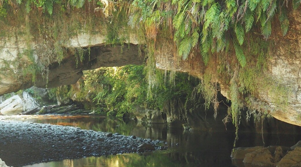 The Oparara Basin, tucked into the north west corner of New Zealand's South Island, is a walker's delight, with easy tracks to stunning locations. In this photo at Maria Gate Arch, a riot of colour is caused by the tannins in the water creating a river of yellows, oranges, reds and browns, which contrast with the white rocks and the lush green vegetation. Just stunning.
Read more at http://www.aboveusonlyskies.com/new-zealand-west-coast/