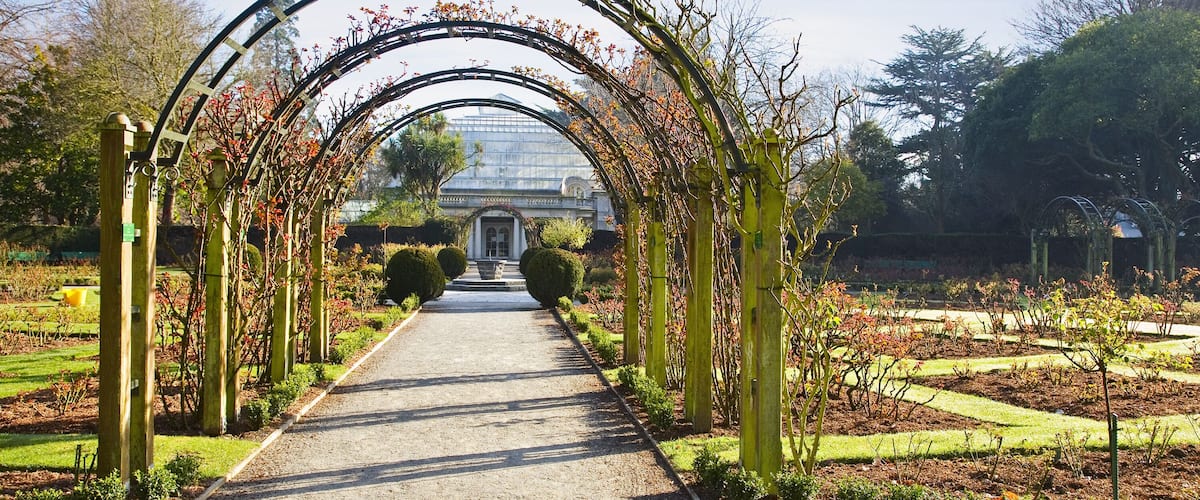 Christchurch, New Zealand, Hagley Park, the Rose Garden in early spring.
