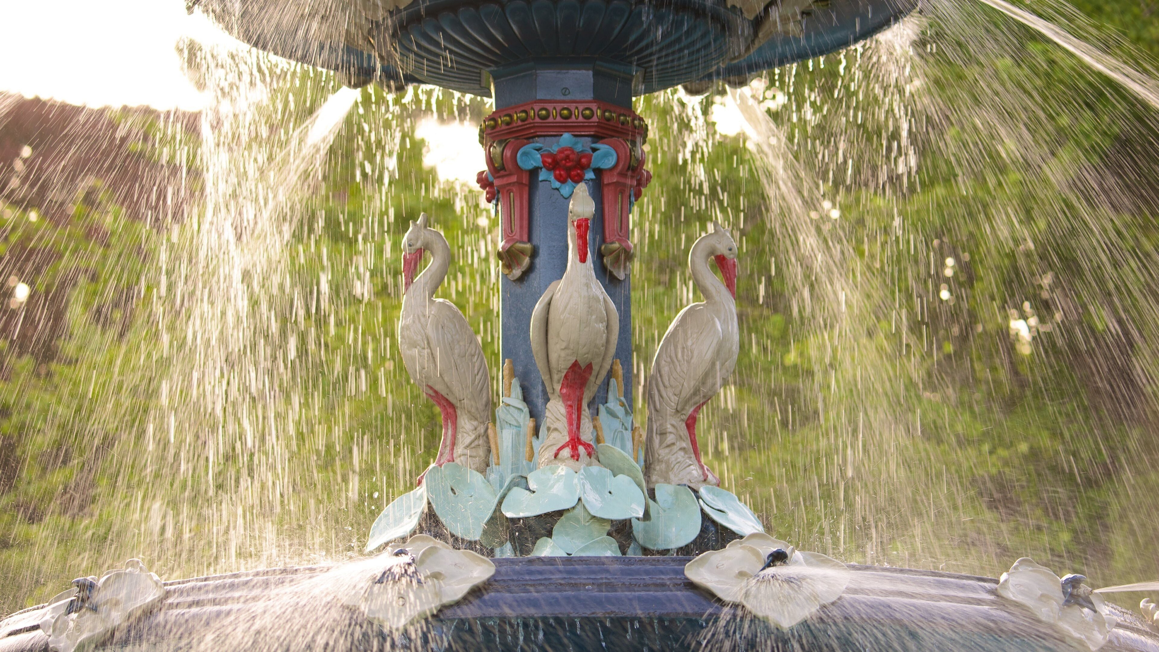 Christchurch Botanic Gardens featuring a fountain