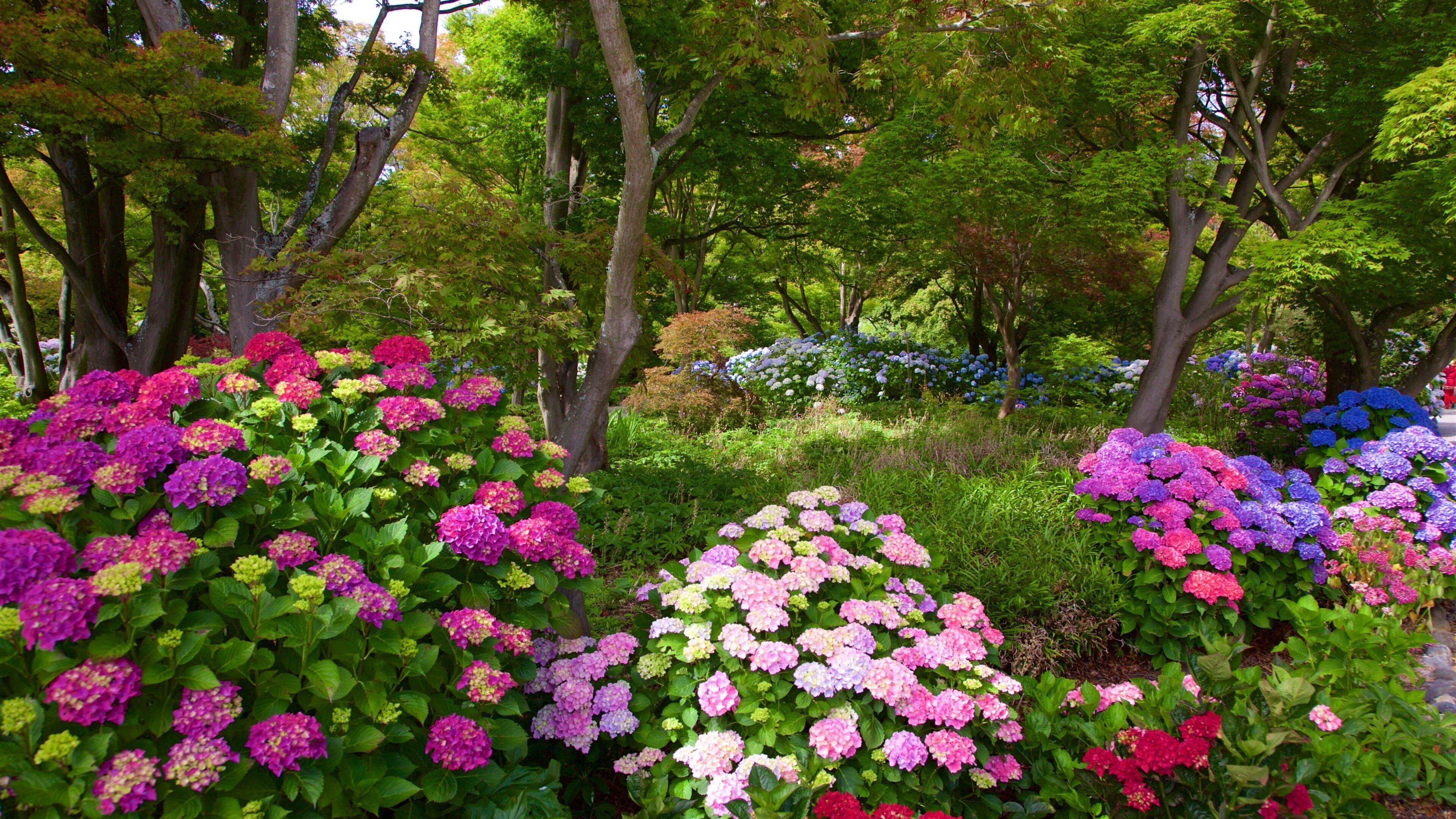 Christchurch Botanic Gardens