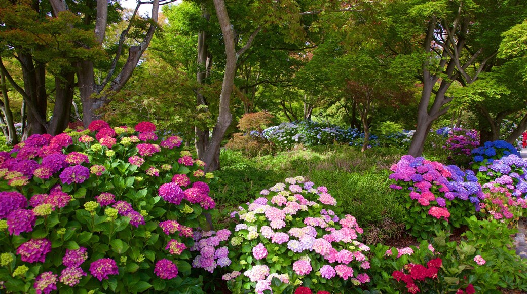 Christchurch Botanic Gardens