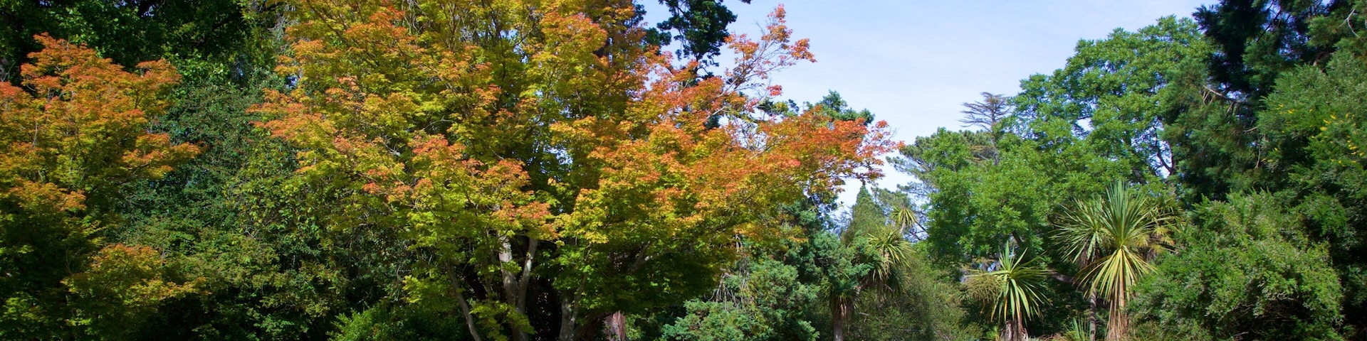 Jardín botánico de Christchurch mostrando un estanque, un puente y un parque